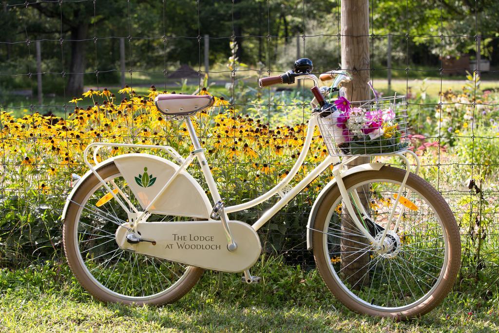 The Lodge At Woodloch Hawley Dış mekan fotoğraf
